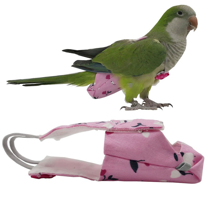 Plant Parenthood - Couche-culotte pour perroquet avec nœud papillon,