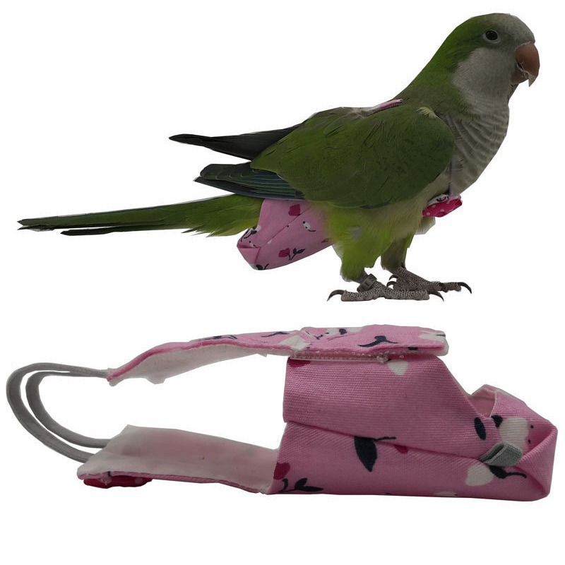 Culotte pour perroquet avec nœ - Plant Parenthood avis et prix